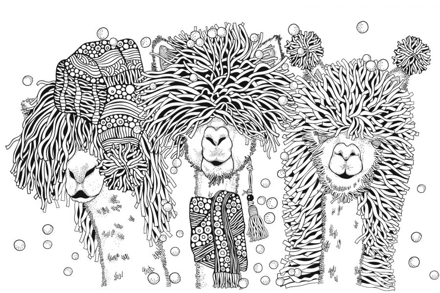 Chill Llama FREE Coloring Page